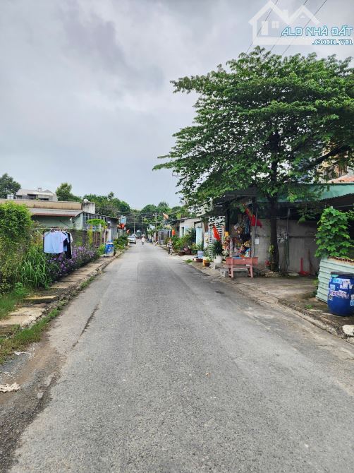 5Tỷ TL🔥Bán đất 172m2_Mặt Tiền đường Nguyễn Công Trứ, p.Đông Hòa, Tp.Dĩ An - 2