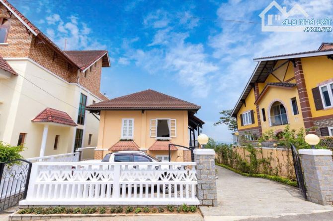 Villa cổ Khe Sanh view thông cực đẹp giá tốt - 4