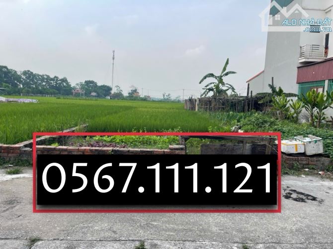 🌻🌻Bán 150m2 Đất Hoa Hậu Biểu Khê Thuỵ Lâm – Giá rẻ, đường rộng, ngõ thông 🚘 tránh nhau