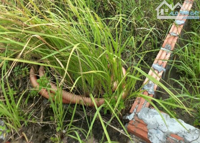 BÁN ĐẤT - 2 PHÚT RA CẦU ĐÔNG TRÙ - ĐẤT ĐẸP DỰ ÁN TÁI ĐỊNH CƯ