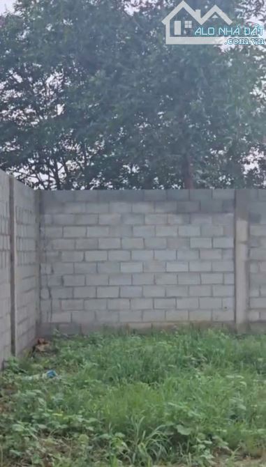 40x53 mặt tiền TL720, tường bao kiên cố, cách nút giao cao tốc 120m. - 4