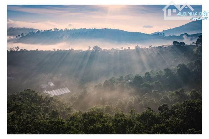 3863m2 đất mặt tiền Ql20, tại Xuân Trường- Đà Lạt. View như hình - 5