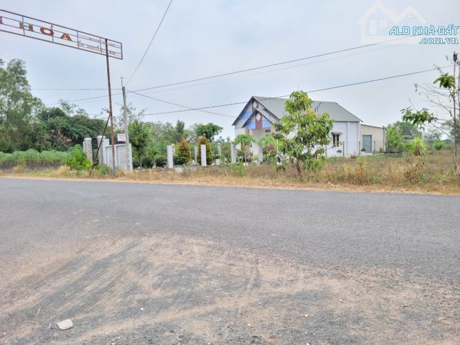 4667m2 đất HNK, đường nhựa thông vào KCN. 2,6 tỷ - 6