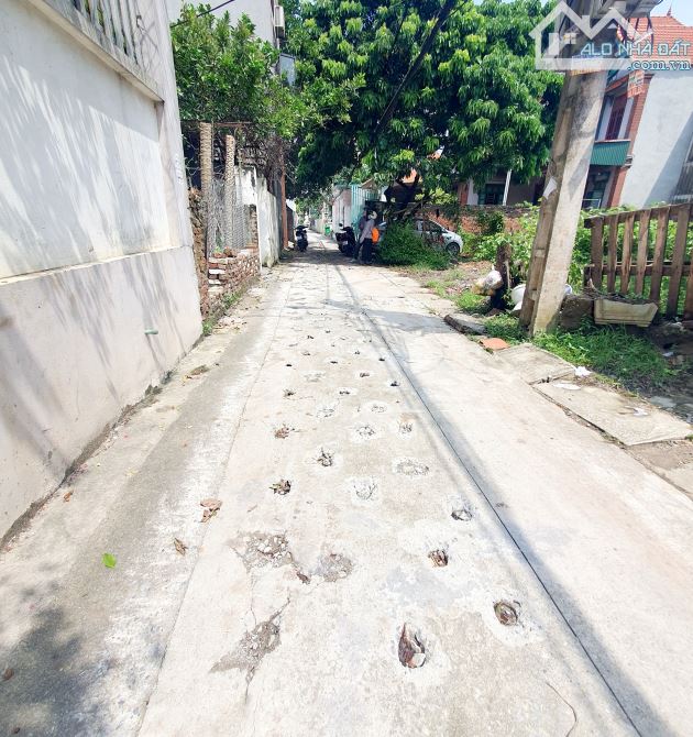 BÁN ĐẤT HẢI BỐI ĐÔNG ANH ĐƯỜNG THÔNG Ô TÔ 48M 3.7 TỶ - 1