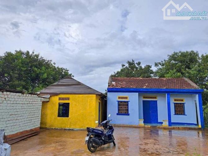 ✈️ Nhà cấp 4 hơn 900m2 tại IaGrai- Gia Lai giá chỉ 679tr - 1