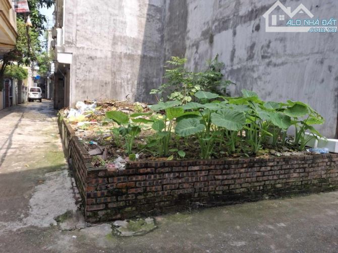 Bán ĐẤT phường Phúc Đồng, Long Biên, 52m, Mt5m, LÔ GÓC, Oto vào Đất, Nhỉnh 9 tỷ - 1