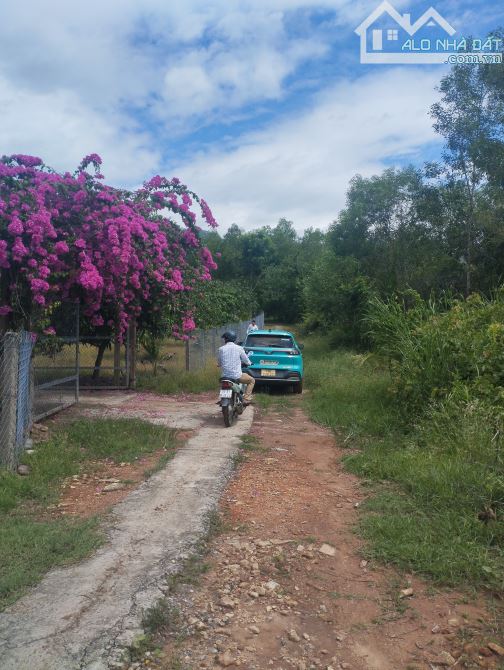 Bán Rẫy Diên SƠN - Diên Khánh - 2,6 Hecta , Đang Hoạt động mô hình Vườn Ao Chuồng - 1