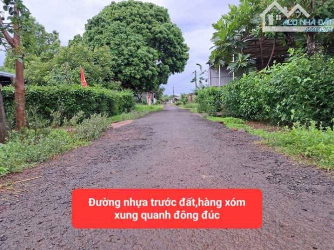 ✈️ Nhà cấp 4 hơn 900m2 tại IaGrai- Gia Lai giá chỉ 679tr - 2