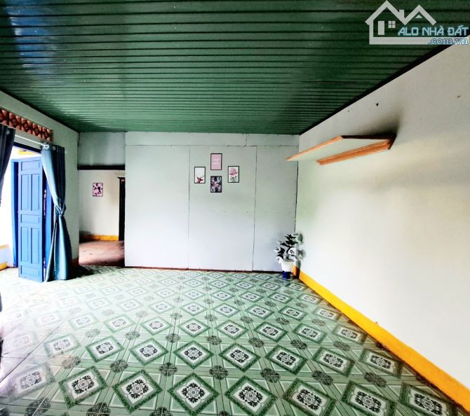 ✈️ Nhà cấp 4 hơn 900m2 tại IaGrai- Gia Lai giá chỉ 679tr - 3