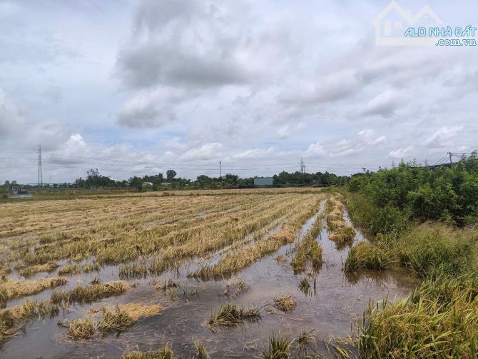 Đất nông nghiệp đường Hoàng Phan Thái, xã Bình Chánh, huyện Bình Chánh, TP.HCM - 3