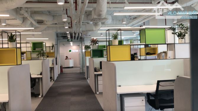 Văn phòng 280m2, Toà nhà hạng A, MT Lê Duẩn, Quận 1 - 5