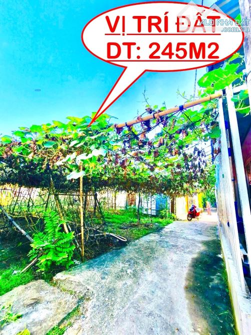 Đất P. Bình Nhâm DT: 10.5M X 24M Sổ Hồng Riêng Bao Sang Tên. - 1