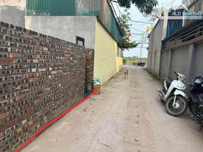 BÁN ĐẤT KIÊU KỴ 100M2 * MT 6M * 4,8 TỶ. Ô TÔ 7 CHỖ ĐỖ CỬA, VÀO ĐẤT.