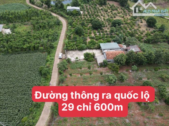 Bán lỗ nhanh _ 10m đường bê tông thổ cư 60m2 chỉ 249 triệu (Đất Buôn Hồ, 650m2)