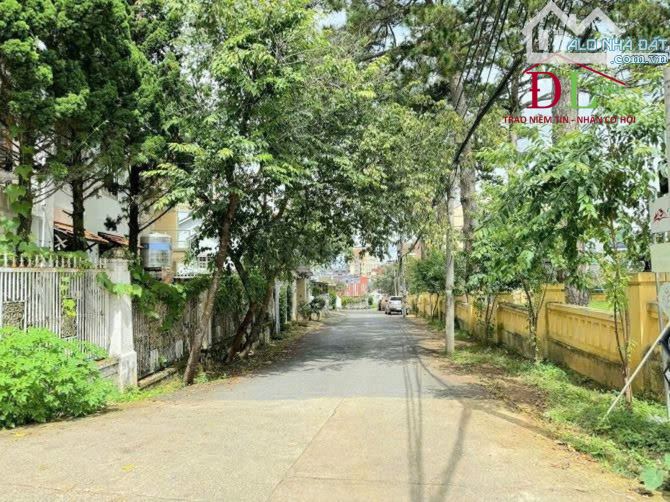 🏞⛺️🏡 BIỆT THỰ CÔ GIANG - CHỐT 12,5 TỶ - KHUÔN VIÊN NHIỀU CÂY XANH - TRUNG TÂM ĐÀ LẠT - 4