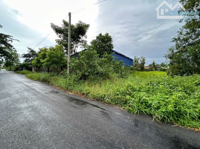 ✅ Bán đất thổ mặt tiền Nguyễn Văn Siêu , Phường 5 , TP Tân An  _ DT : 5 x 30m² - 1