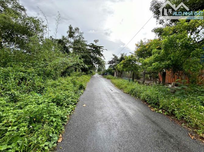 ✅ Bán đất thổ mặt tiền Nguyễn Văn Siêu , Phường 5 , TP Tân An  _ DT : 5 x 30m² - 2
