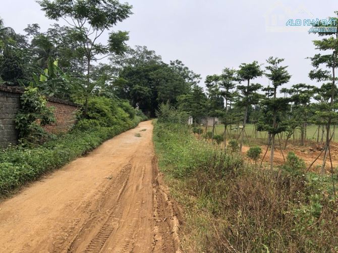 Siêu phẩm Vân Hòa 1400m, 200m TC, 2 mặt đường oto, gần TL 87, view cánh đồng, nhỉnh 5tỷ - 3