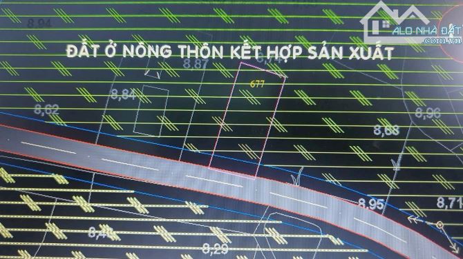 Đất thổ cư 1 xẹt đường Tỉnh Lộ 7 xã Trung Lập Hạ Củ Chi, DT: 15x35m. - 3