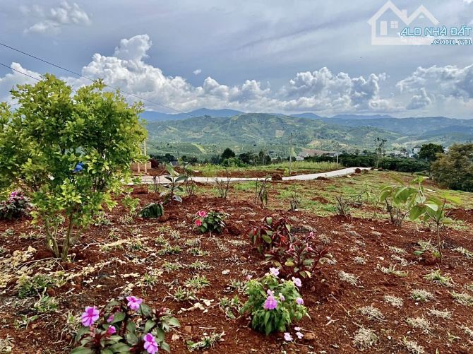 ✨ 511m2 sẵn Thổ Cư, Mặt tiền Ngang 14M. Đứng trên đất thấy QL20 và KDL Thác Bobla - 680Tr - 4