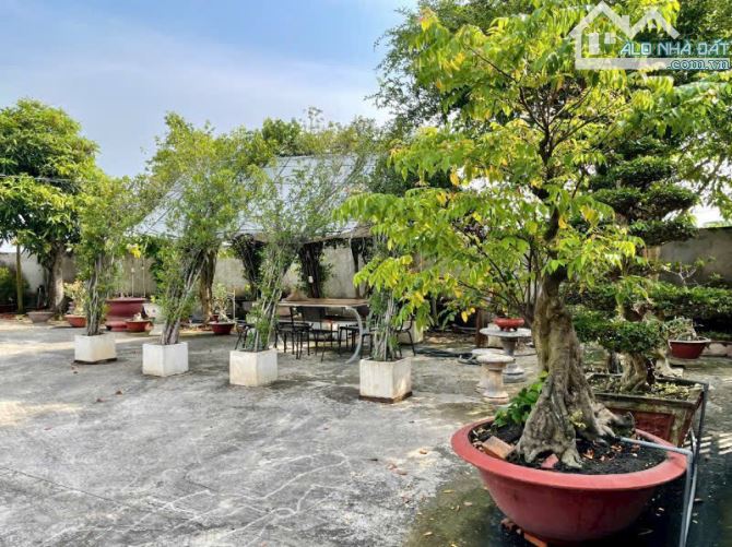 Chủ gửi bán 1068m2 đất tặng căn nhà vườn xây kiên cố, có cây ăn trái,cây cảnh, giá tốt - 5