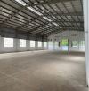 Cho Thuê Xưởng 10000m2 tại Tam Phước, Biên Hoà , Đồng Nai