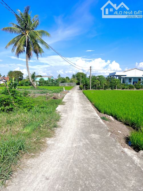 7.5m x 23m. Thổ cư . Bình Trinh Đông - Tân Trụ - Long An - 1