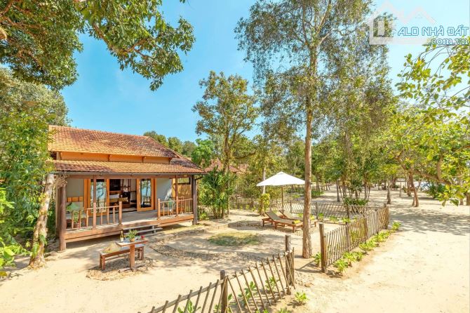 Khu biển mũi né cần bán 11000m2 giá 3 tỷ 7 . Khai thác homestay thu nhập 240tr/ năm - 4