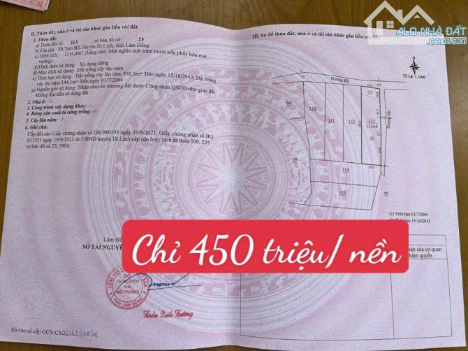 Đất nền nghỉ dưỡng ở Tam Bố, Di Linh-Đức Trọng-Lâm Đồng - 4