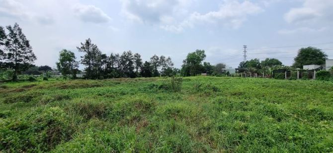 Bán đất thổ cư mặt tiền đường Sông Lu xã Trung An Củ Chi, DT: 6757m2. - 5