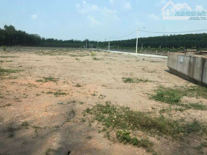 Bán 10000m2 ( 1 mẫu) đất gần QL13 .Bình Phước giá chỉ 1 tỷ 020 triệu