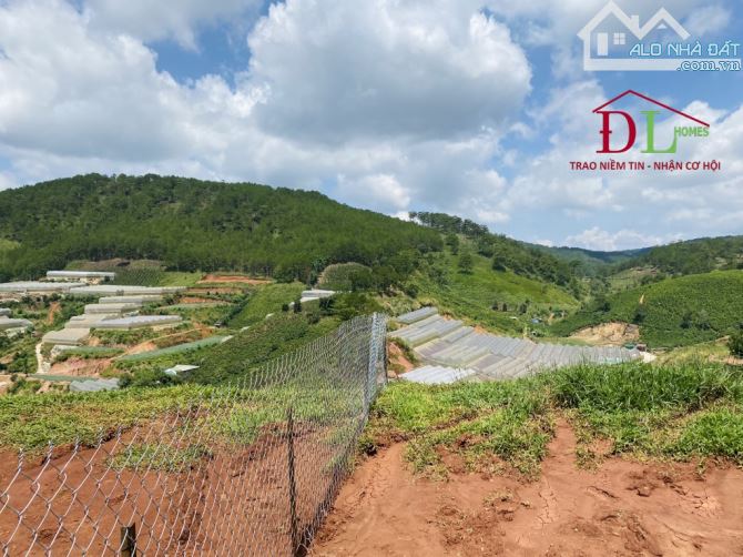 🏞⛺️🏡 GIẢM SÂU GIÁ VỐN - ĐẤT XD 262M2 - ĐƯỜNG OTO TRÁNH NHAU - VIEW RỪNG THÔNG VĨNH VIỄN