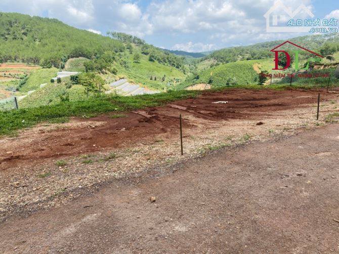 🏞⛺️🏡 GIẢM SÂU GIÁ VỐN - ĐẤT XD 262M2 - ĐƯỜNG OTO TRÁNH NHAU - VIEW RỪNG THÔNG VĨNH VIỄN - 1