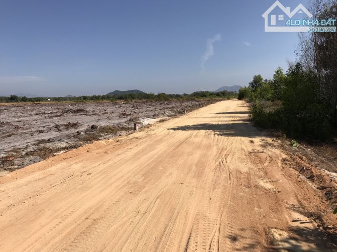 CẦN BÁN LÔ ĐẤT BIỆT THỰ NGHỈ DƯỠNG 1000M2 CÓ 400M2 THỔ CƯ, GẦN BIỂN LAGI BÌNH THUẬN - 3