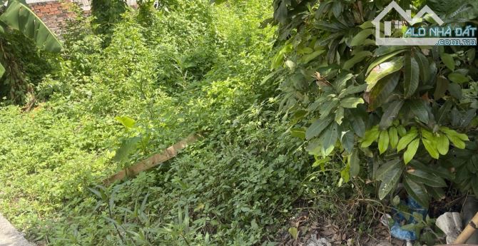 Cần bán đất thôn Xuân Canh - xã Xuân Canh: Diện tích 187 m2 - giá 79 triệu/m2
