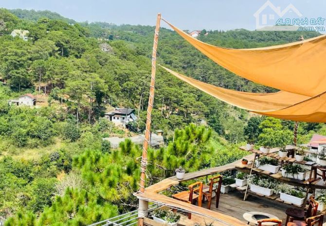 Bán Homestay Ba Tháng Tư P3 Đà Lạt view thông cực đẹp