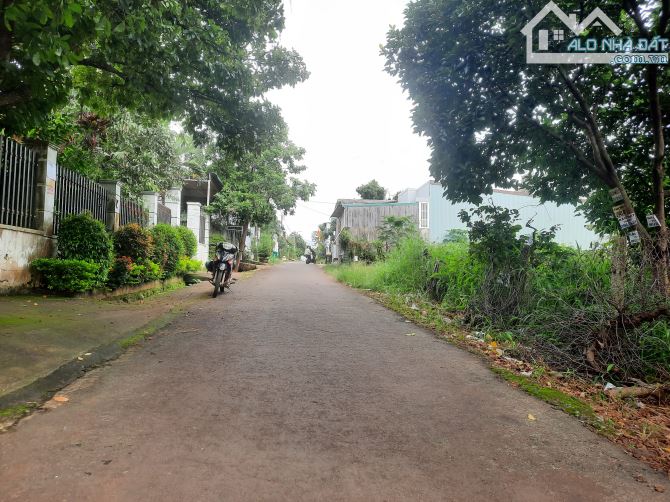 BÁN ĐẤT PHƯỜNG TÂN LỢI BMT, KHU VỰC ĐÔNG DÂN CƯ, ĐƯỜNG NHỰA THÔNG THOÁNG  1TY700t5X20  BAO - 1