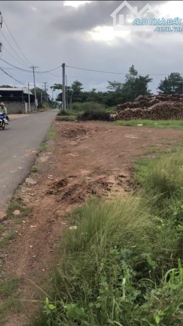 Bán Gấp Lô Đất Mặt Tiền Nhựa Trảng Bom, Đồng Nai_ Vị Trí Kinh Doanh – NGAY VÀNH ĐAI 4 💥 - 2