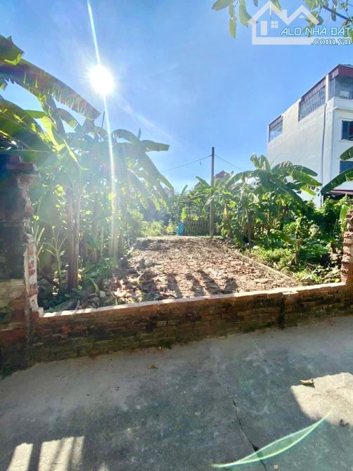 Lô đất đẹp tại Đức Thượng, lô góc, ô tô vào đất, sổ vuông, nở hậu 42m mt 4m9 chỉ 3 tỷ 65 - 5