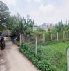 Đất Bình Mỹ xe hơi thông, 10x25m tiện xây nhà vườn. 1,3 tỷ