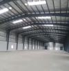 Cho thuê xưởng sản xuất 5000m2 KCN Nhơn Trạch, Đồng Nai - Giá chỉ 3,8 usd