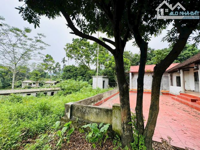 BÁN GẤP LÔ ĐẤT CÓ DT 4208m2 (400m2 ONT) SẴN KHUÔN VIÊN NHÀ VƯỜN VIEW NÚI ĐÁ CỰC ĐẸP - 1