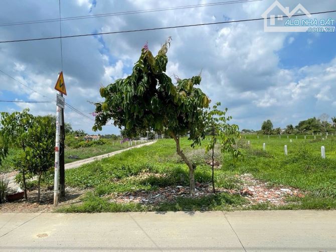 336m2 full thổ cư 2 mặt tiền đường ô tô, xe tải chạy, khu đông dân cư, SHR,giá rẻ 8,5tr/m2 - 2