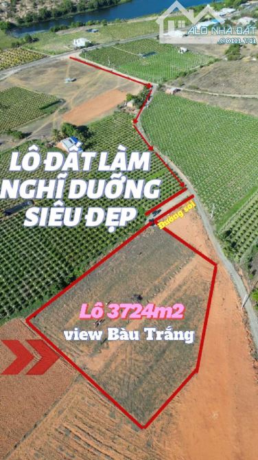 CẦN BÁN LÔ ĐẤT HÒA THẮNG GẦN BIỂN 3,7 TỶ , VIEW NHƯ ĐÀ LẠT - 2