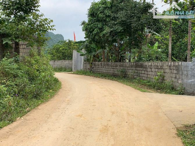 BÁN GẤP LÔ ĐẤT CÓ DT 4208m2 (400m2 ONT) SẴN KHUÔN VIÊN NHÀ VƯỜN VIEW NÚI ĐÁ CỰC ĐẸP - 2