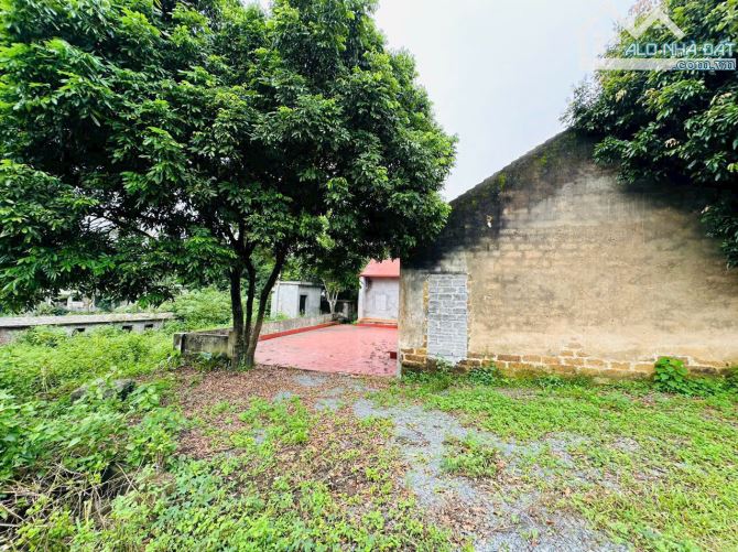 BÁN GẤP LÔ ĐẤT CÓ DT 4208m2 (400m2 ONT) SẴN KHUÔN VIÊN NHÀ VƯỜN VIEW NÚI ĐÁ CỰC ĐẸP - 3