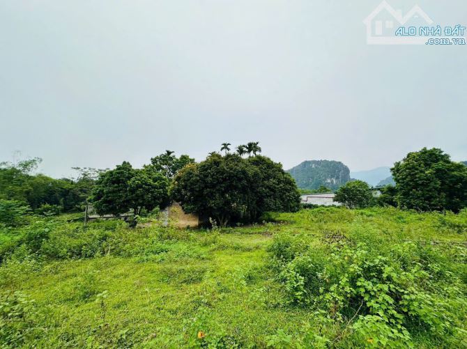 BÁN GẤP LÔ ĐẤT CÓ DT 4208m2 (400m2 ONT) SẴN KHUÔN VIÊN NHÀ VƯỜN VIEW NÚI ĐÁ CỰC ĐẸP - 8