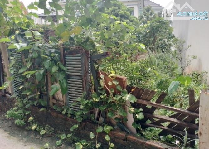 BÁN ĐẤT - 1 PHÚT RA CẦU ĐÔNG TRÙ - GẦN VIN CỔ LOA