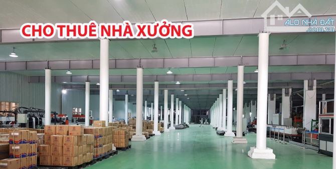 Cho thuê gấp 2.200m2 và 4.000m2 Vân Nội, Đông Anh - 1