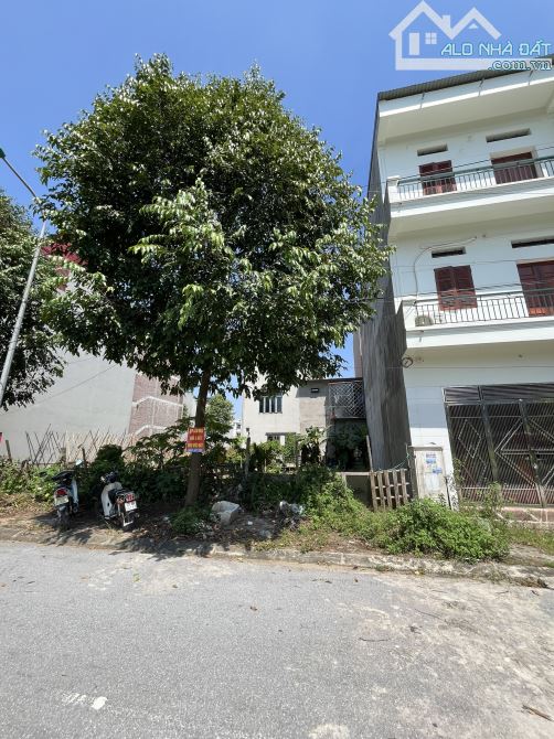 BÁN LÔ ĐẤT RẺ NHẤT LÀN 2 TRẦN ĐĂNG TUYỂN, PHƯƠNG VỸ, TP BẮC NINH - 1